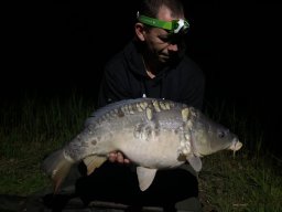 Competities HSV Alfheim